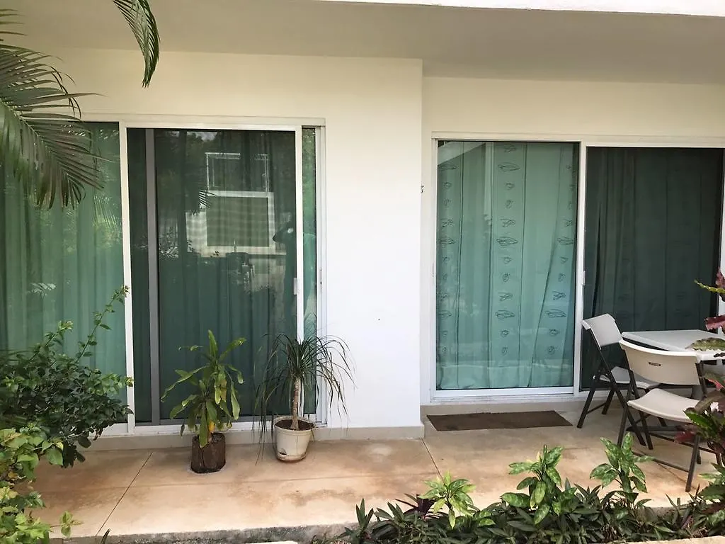 Condominio Pelicano プレヤデルカーメン アパート